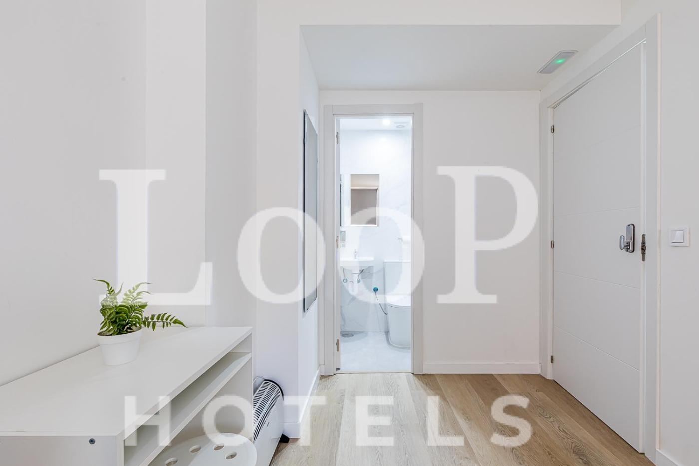 Loop Alcala Maison d'hôtes Madrid